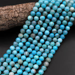 Blue Aqua Terra Agate 6mm 8mm Round Beads Aka Dragon Skin Robin's Egg Agate 15.5" Strand