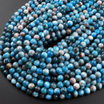 Natural Apatite 4mm 6mm 8mm 10mm Smooth Round Beads 15.5" Strand