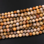 Large Hole Beads 2.5mm Drill Natural Fossil Coral 8mm 10mm Round Beads 8" Strand