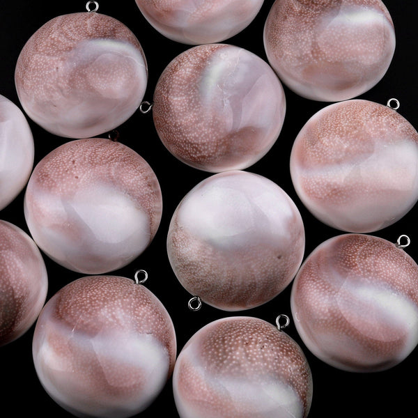 Drilled Shiva Eye Shell Circle Round Pendant Natural Fossil Domed Mauve Pink Green Shell Pendant Focal Bead