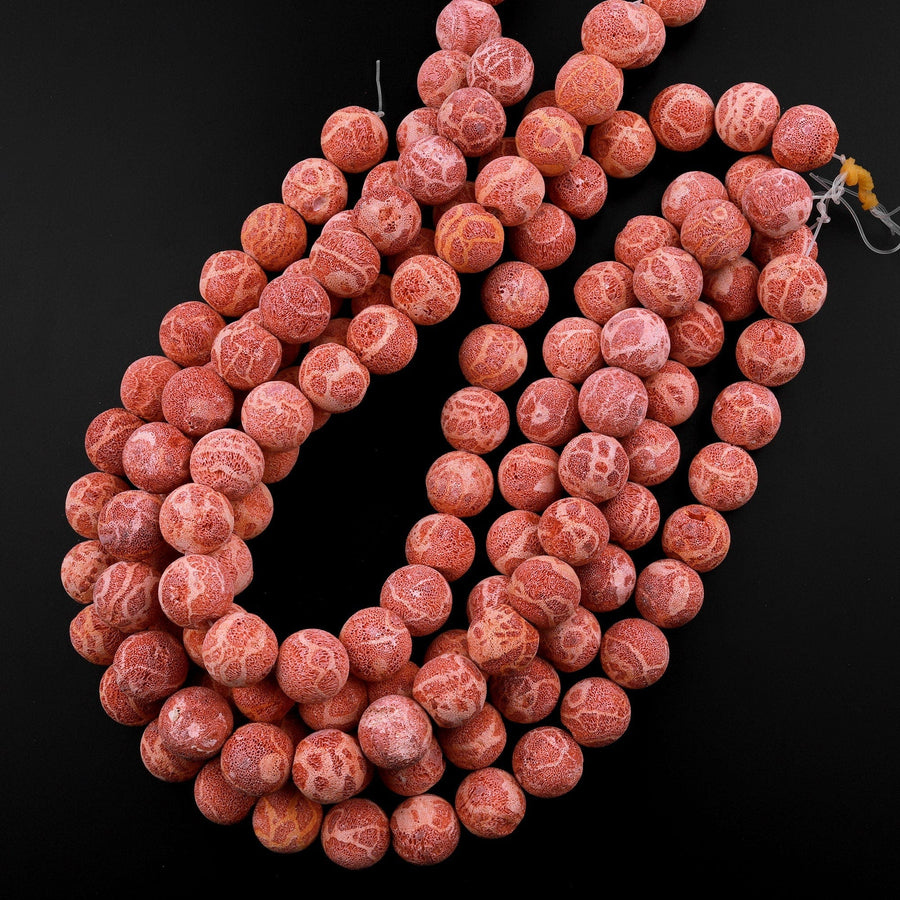 AAA Large Natural Red Sponge Coral Beads 16mm 22mm 24mm Round Beads 15 –  Intrinsic Trading