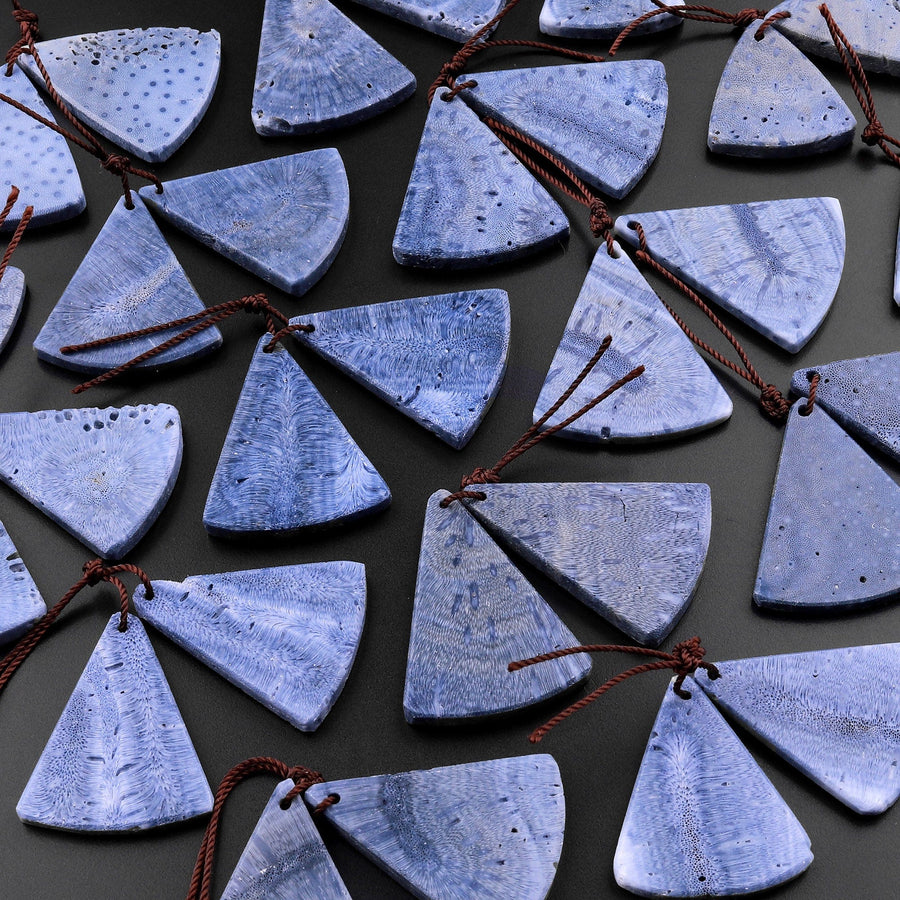 Natural Real Genuine Blue Sponge Coral Triangle Fan Earring Pair Drilled Gemstone Matched Beads