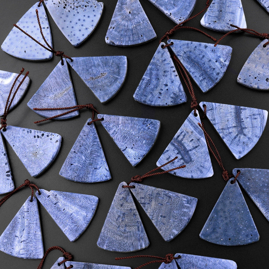 Natural Real Genuine Blue Sponge Coral Triangle Fan Earring Pair Drilled Gemstone Matched Beads