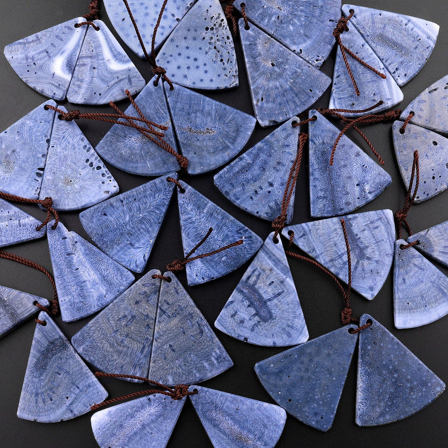 Natural Real Genuine Blue Sponge Coral Triangle Fan Earring Pair Drilled Gemstone Matched Beads