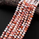 Natural Orange Spiny Oyster Off Round Beads 8mm 10mm 15.5" Strand