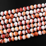 Natural Orange Spiny Oyster Off Round Beads 8mm 10mm 15.5" Strand