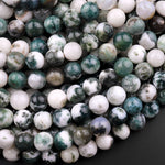 Natural Green Tree Agate 6mm 8mm 10mm Smooth Round Beads 15.5" Strand