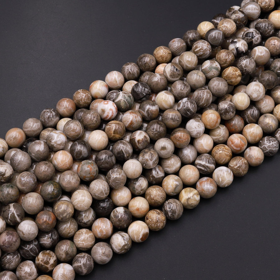 AAA Natural Fossil Coral 6mm 8mm Round Beads Brown Tan Gray Beige Gemstone 15.5" Strand