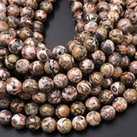 Natural Leopard Skin Jasper 6mm 8mm 10mm Smooth Round Beads 15.5" Strand