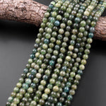 Rare Natural Green Apatite 6mm 8mm 10mm Round Beads 15.5" Strand