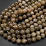 Natural Nephrite Hetian Jade 10mm Smooth Round Beads Real Genuine Jade 15.5" Strand