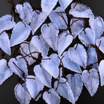 Hand Carved Natural Blue Chalcedony Lace Agate Leaf Pendant Bead Drilled Gemstone
