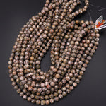 Natural Leopard Skin Jasper 6mm 8mm 10mm Smooth Round Beads 15.5" Strand