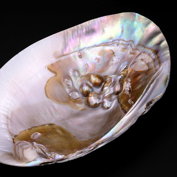 Large Natural Mother of Pearl Shell Dish W Real Iridescent Blister Pearls