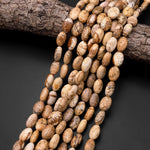 Natural Picture Jasper Oval Beads 15.5" Strand