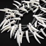 AAA Iridescent Carved Natural White Mother of Pearl Wolf Tooth Beads Strand