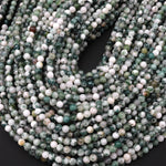 Natural Green Tree Agate 4mm Smooth Round Beads 15.5" Strand