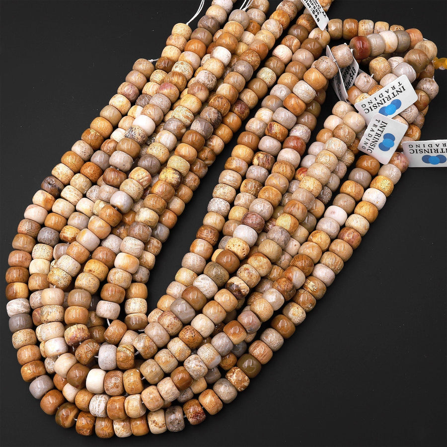 AAA Natural Fossil Coral Smooth Rondelle Beads 6mm 8mm 10mm Golden Brown Beige Tan Yellow Gemstone