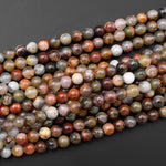 Natural African Bloodstone 4mm 6mm 8mm Round Beads 15.5" Earthy Brown Green Strand