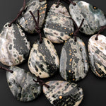 Natural Green Ocean Jasper Pendant Drilled Smooth Freeform Gemstone