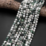 Matte Natural Green Tree Agate 6mm 8mm 10mm Round Beads 15.5" Strand