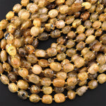 Natural Titanium Golden Rutile Quartz Puffy Smooth Rounded Nugget Beads Gemstone 15.5" Strand