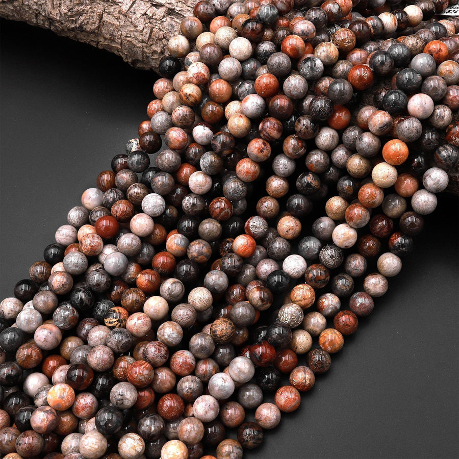 Natural Fossil Coral Round Beads 4mm 6mm 8mm 10mm Orange Red Dark Gray Brown Tan Beige Beads 15.5" Strand