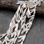 Large Thick Freeform Natural White Biwa Pearl Long Stick Branch Pearl Top Drilled Pendant Genuine Freshwater Pearl 16" Strand
