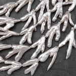 Large Thick Freeform Natural White Biwa Pearl Long Stick Branch Pearl Top Drilled Pendant Genuine Freshwater Pearl 16" Strand