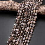 Faceted Natural Black Moonstone 10mm Coin Beads Gemstone 15.5" Strand