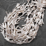 Large Thick Freeform Natural White Biwa Pearl Long Stick Branch Pearl Top Drilled Pendant Genuine Freshwater Pearl 16" Strand