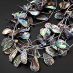 Real Natural Abalone Shell Beads Mermaid Shards Side Drilled Teardrop Rainbow Iridescent Peacock Blue Green Pink 15.5" Strand