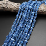 Natural Blue Kyanite Freeform Rondelle Bead 8mm 10mm 12mm 14mm 15.5" Strand