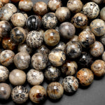 Black Fossil Coral Beads 10mm 12mm Round Beads 15.5" Strand