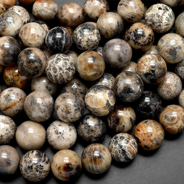 Black Fossil Coral Beads 10mm 12mm Round Beads 15.5" Strand