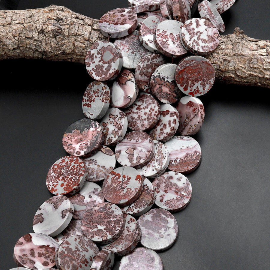 Large Natural Artistic Jasper Large Smooth Flat Coin 26mm 28mm 32mm Beads Aka Wild Horse Picture Jasper 15.5" Strand