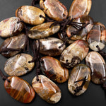 Natural Madagascar Petrified Wood Oval Pendant Bead Drilled Gemstone