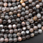 Natural Black Moonstone 6mm 8mm Round Beads 15.5" Strand