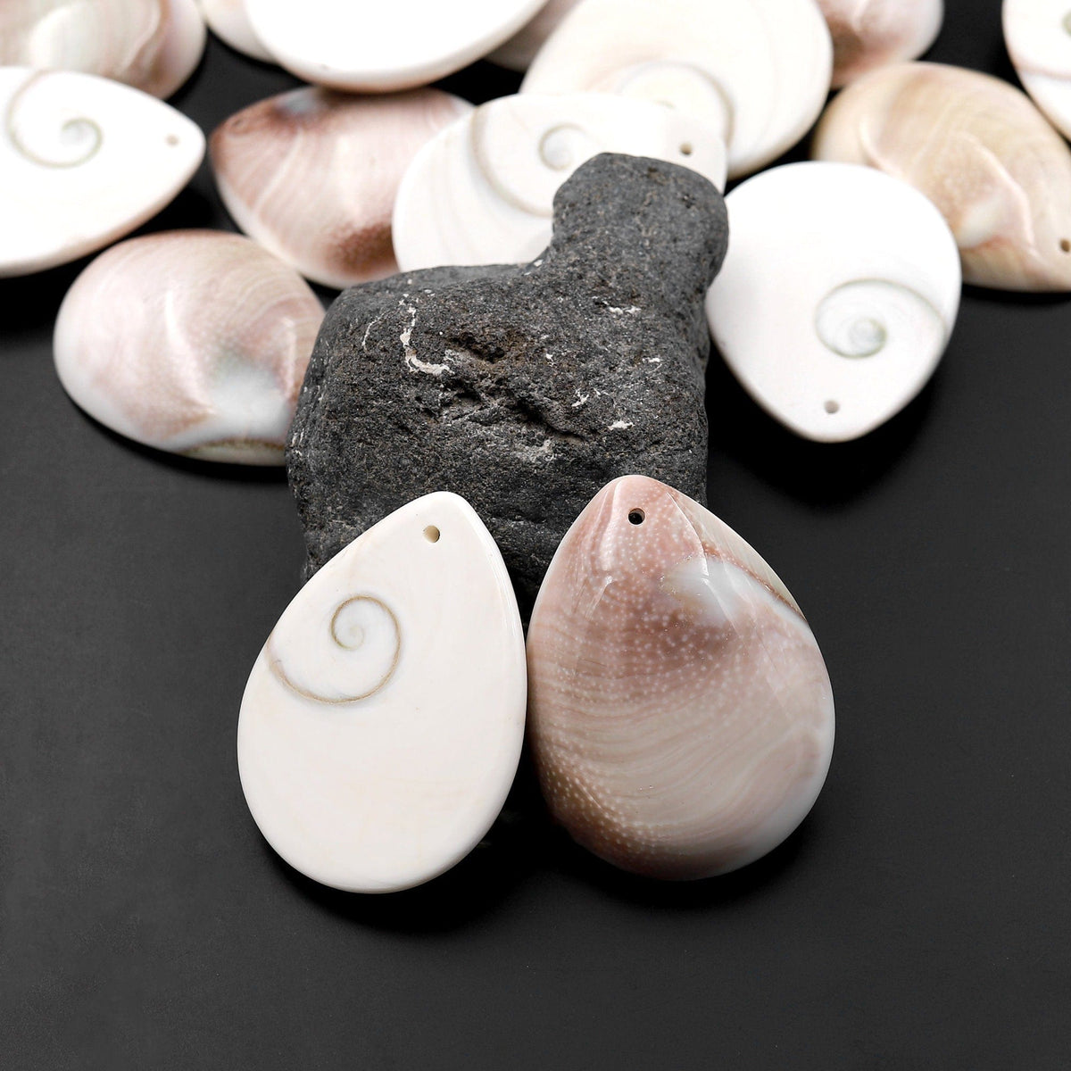 Drilled Shiva Eye Shell Teardrop Pendant Natural Fossil Domed Mauve Pi ...