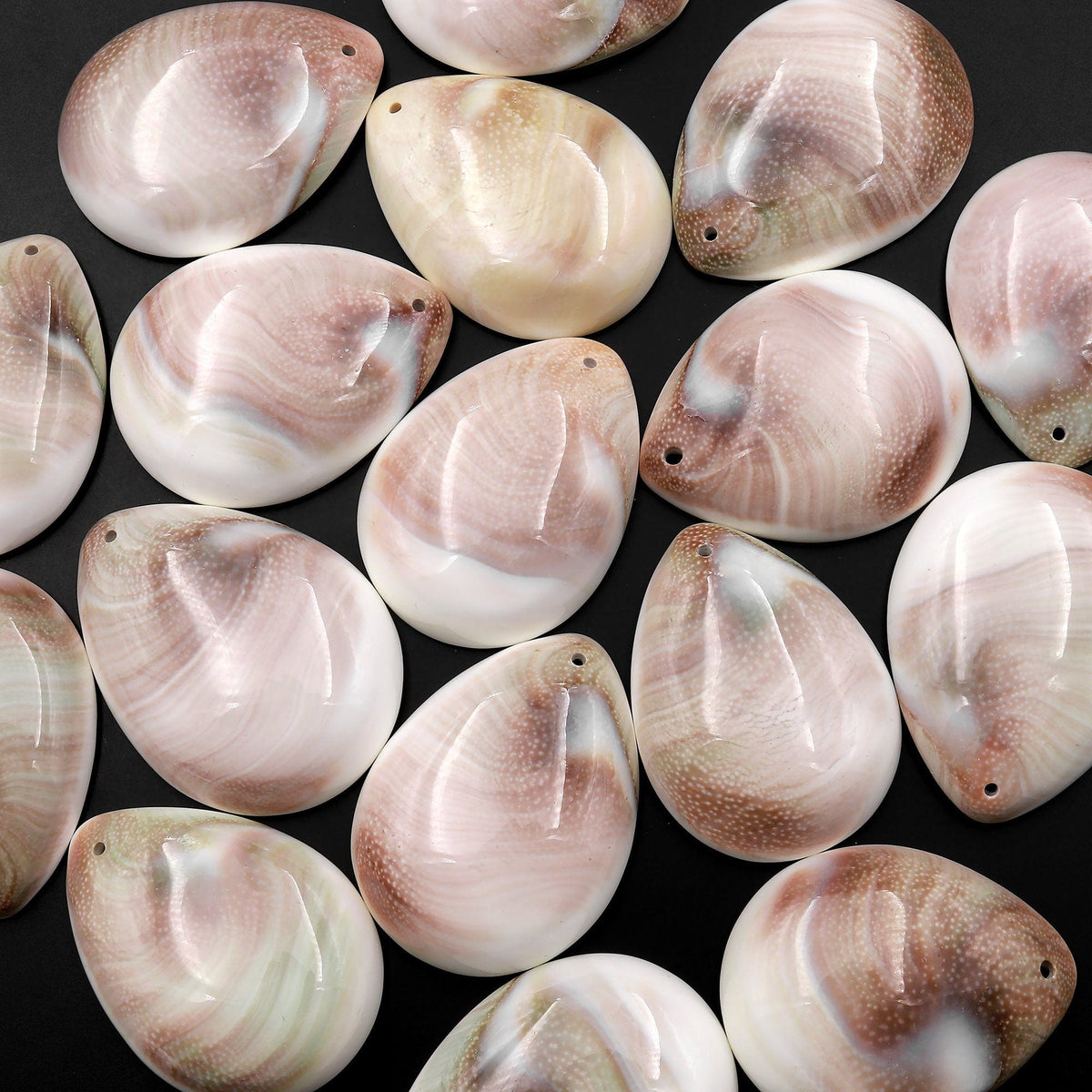 Drilled Shiva Eye Shell Teardrop Pendant Natural Fossil Domed Mauve Pi ...