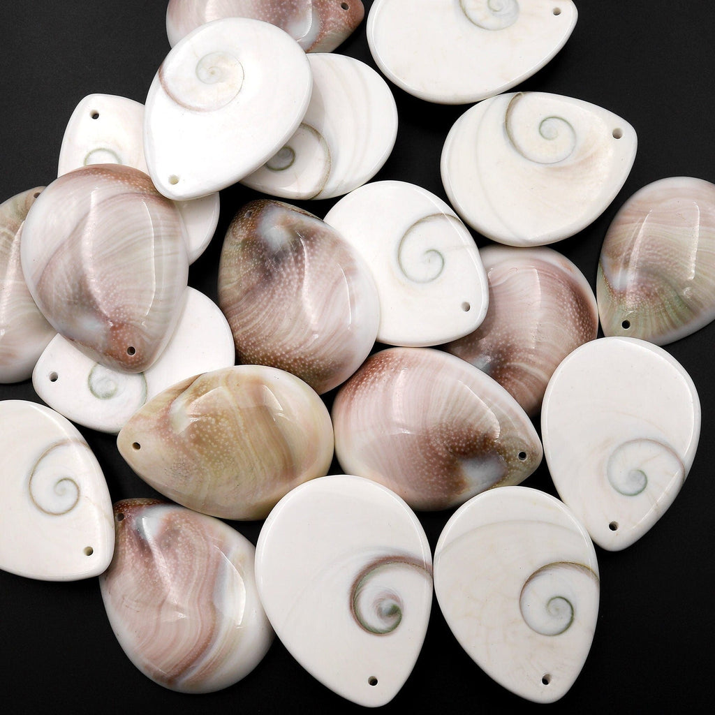 Drilled Shiva Eye Shell Teardrop Pendant Natural Fossil Domed Mauve Pi ...
