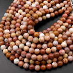 Natural Red Petrified Wood Agate Beads 6mm 8mm 10mm Round Beads 15.5" Strand
