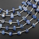 Center Drilled Natural Blue Kyanite Freeform Oval Spike Beads Center Drilled 15.5" Strand