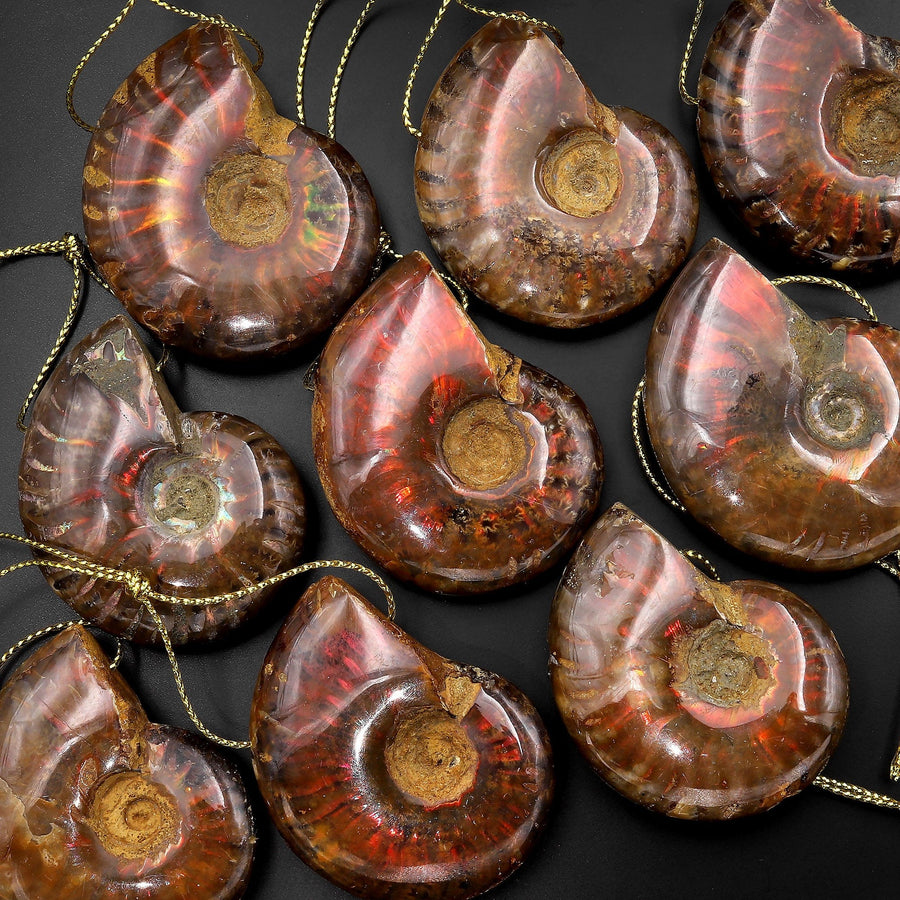 AAA Rare Natural Red Opalized Ammonite Fossil Pendant Top Side Drilled Gemstone