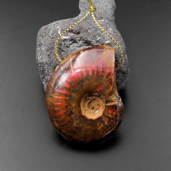 AAA Rare Natural Red Opalized Ammonite Fossil Pendant Top Side Drilled Gemstone