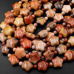 Natural Orange Red Fossil Coral Beads Carved Gemstone Star 15.5" Strand