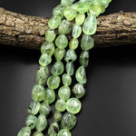 Natural Prehnite Freeform Rounded Nugget Pebble Beads 15.5" Strand