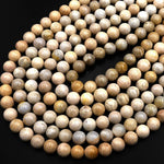 Natural Fossil Coral Round Beads 8mm 9mm Light Beige 15.5" Strand