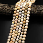 Natural Fossil Coral Round Beads 8mm 9mm Light Beige 15.5" Strand