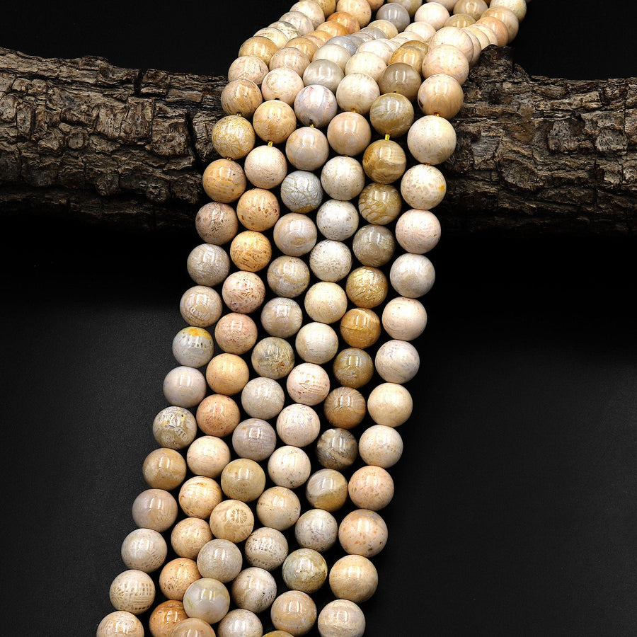 Natural Fossil Coral Round Beads 8mm 9mm Light Beige 15.5" Strand